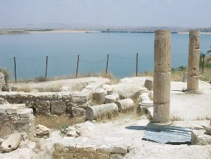 Zeugma